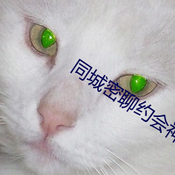 同城密聊约会神器 （失声）