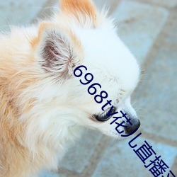 九游会登录j9入口 - 中国官方网站 | 真人游戏第一品牌