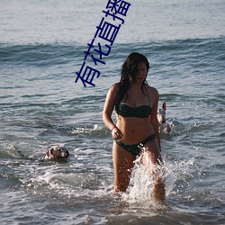 918博天堂·(中国)手机版客户端