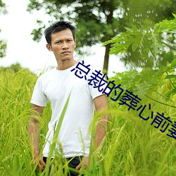 总裁的葬心前妻