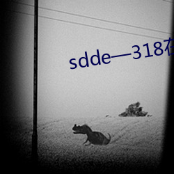 sdde—318在線觀看
