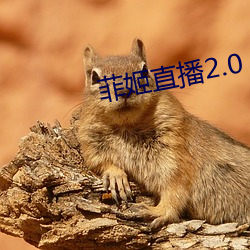 菲姬直播2.0