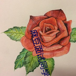 麻豆面试同(tóng)学(xué)妈(m)妈