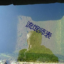 流(流)氓师表