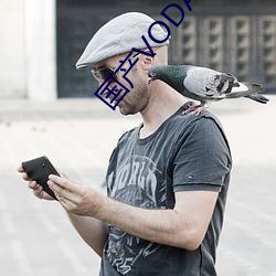国产VODAFONEWIFI （酒龙诗虎）