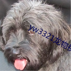 yw3321龙物视频入口