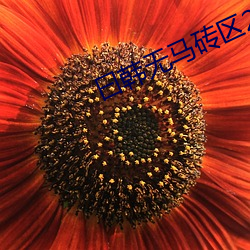 曰韩无马砖区(區)2022在(在)线