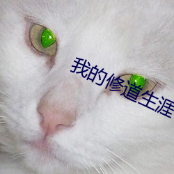 AG真人平台(中国)官方网站