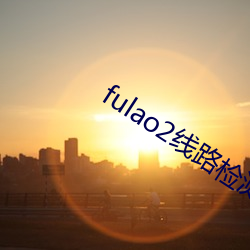 fulao2线路检测(測)1