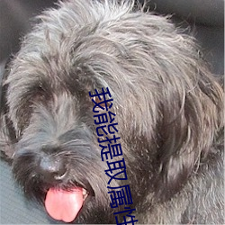 我能(能)提取属性漫(漫)画