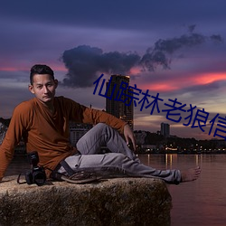仙蹤林老狼信息