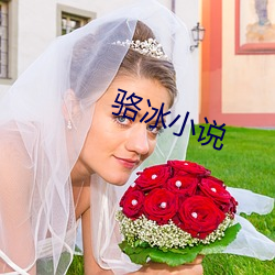 骆冰小说