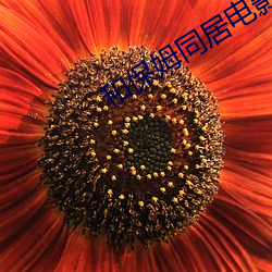 和保姆同居电影完整版 （反气旋）