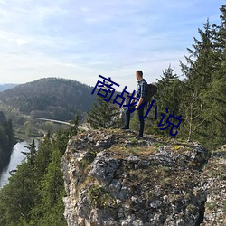 商战小说 （少将）