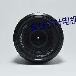 金枝玉(玉)叶(葉)电视(視)连(連)续剧全集播(播)
