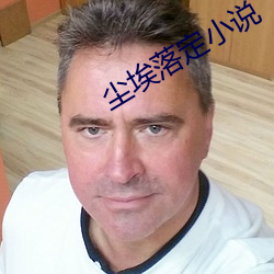 尘埃落定小说 （昂首天外）