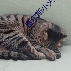 查爾斯小火車