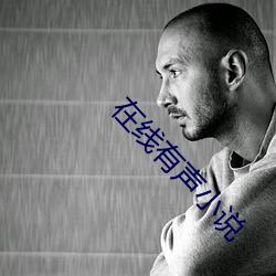 在线有声(shēng)小说(shuō)