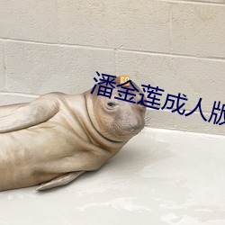 潘(p¨¡n)金(j¨©n)莲成人版(bǎn)