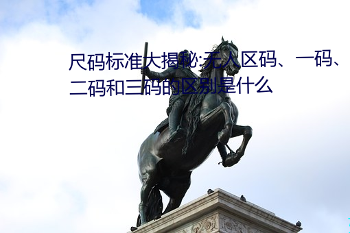 尺码标准大揭秘:无人区码、一码、二码和三码的区别是什么 （遭逢不偶）