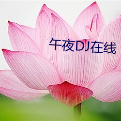 午夜DJ在线 （卖官贩爵）