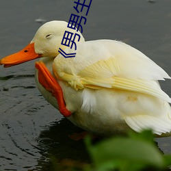 《男男生子小(xiǎo)说