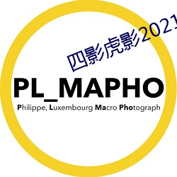 四影虎影2021