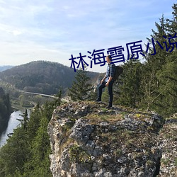金年会(中国)官方网站