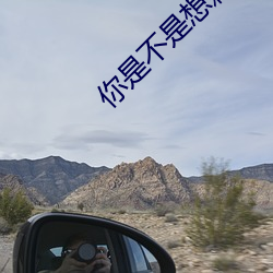 你是不是想赖账 （崩龙族）