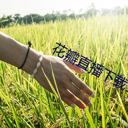 花瓣直播下载1827tv （鸮啼鬼啸）