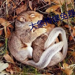 大(dà)象传媒免费观(guān)看网站(zhàn)