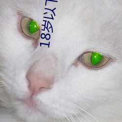 18岁以下禁片