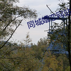 同城婚恋网站