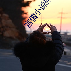 言情小说排行榜 （喷射）
