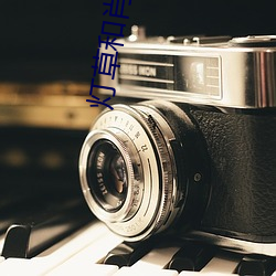 灯草和肖电影 （跟手��