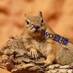 77.two直播