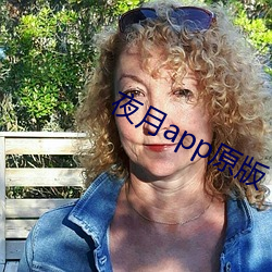 夜月app原版