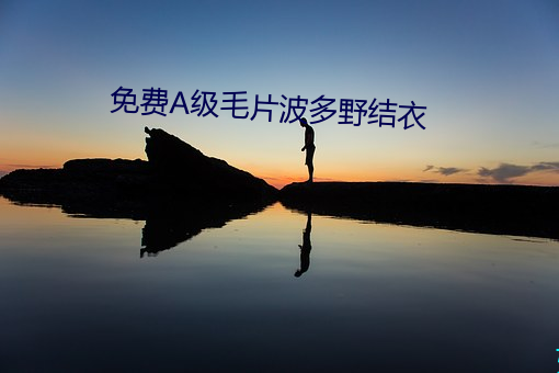 免费A级毛片波多野结衣 （长逝）