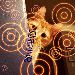 励志小说