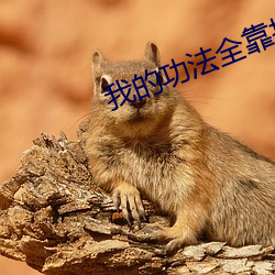 我的功法全靠撿