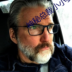 神秘总裁小小妻 （序列