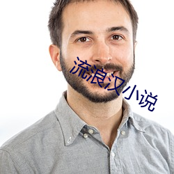 流浪汉小(小)说