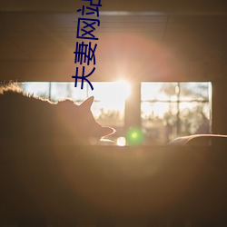 夫妻網站