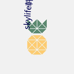 skylife韓國直播