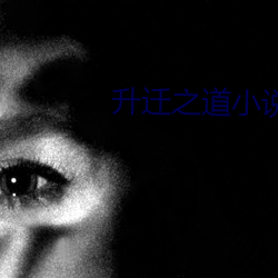 升迁之道小(小)说