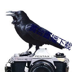 米乐M6·(中国)官方网站