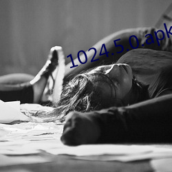 1024.5.0.apk下载