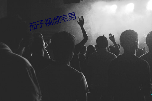 茄子视频(pín)宅(zhái)男(nán)