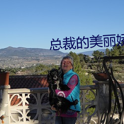 总裁的美丽娇妻