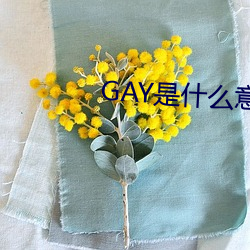GAY是什么意思